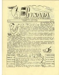 Sinaia Nº17