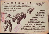 CAR-SHM-R1198