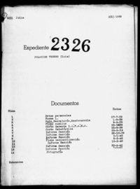 Palacios Venero, Luis