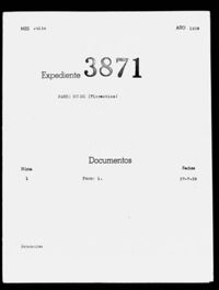 Pardo Muñoz, Florentina