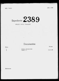 Peralta Casal, Joaquín