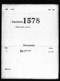 Pinedo Tamayo, Adolfo