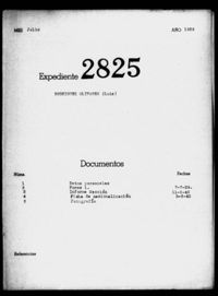 Rodriguez Olivares, Luis