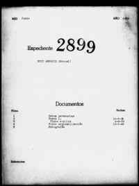 Ruiz Arroniz, Manuel