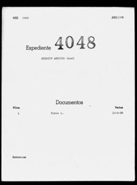 Schmidt Assiego, Ana