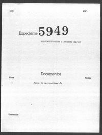 Zabalandicoechea Aguirre, Miren