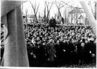 FOT-000430