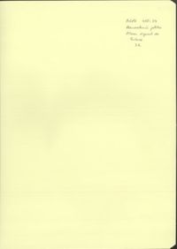 AGPG-955-34