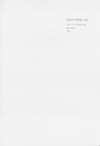AARD-382-26